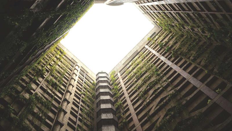 台风、大风与降温天气下的科学出行指南